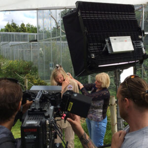 VELVET-Power-2×2-outdoor_1800x1192-1-300×300