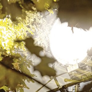 alpha_18k_on_set-6db82-300×300