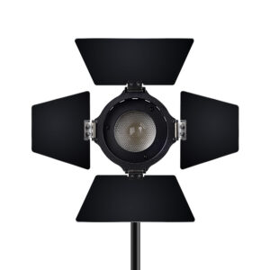 LS-mini20_25-300×300