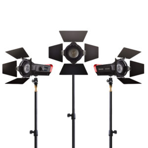 LS-mini20_27-300×300