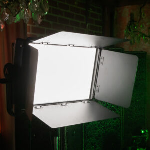 Nova-P300c-Barn-Doors_Cine_09-300×300