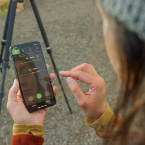 P60_29_wrap-walking-away_kinda-soft-focus.00_04_38_07.Still008-1000×750-1-300×300