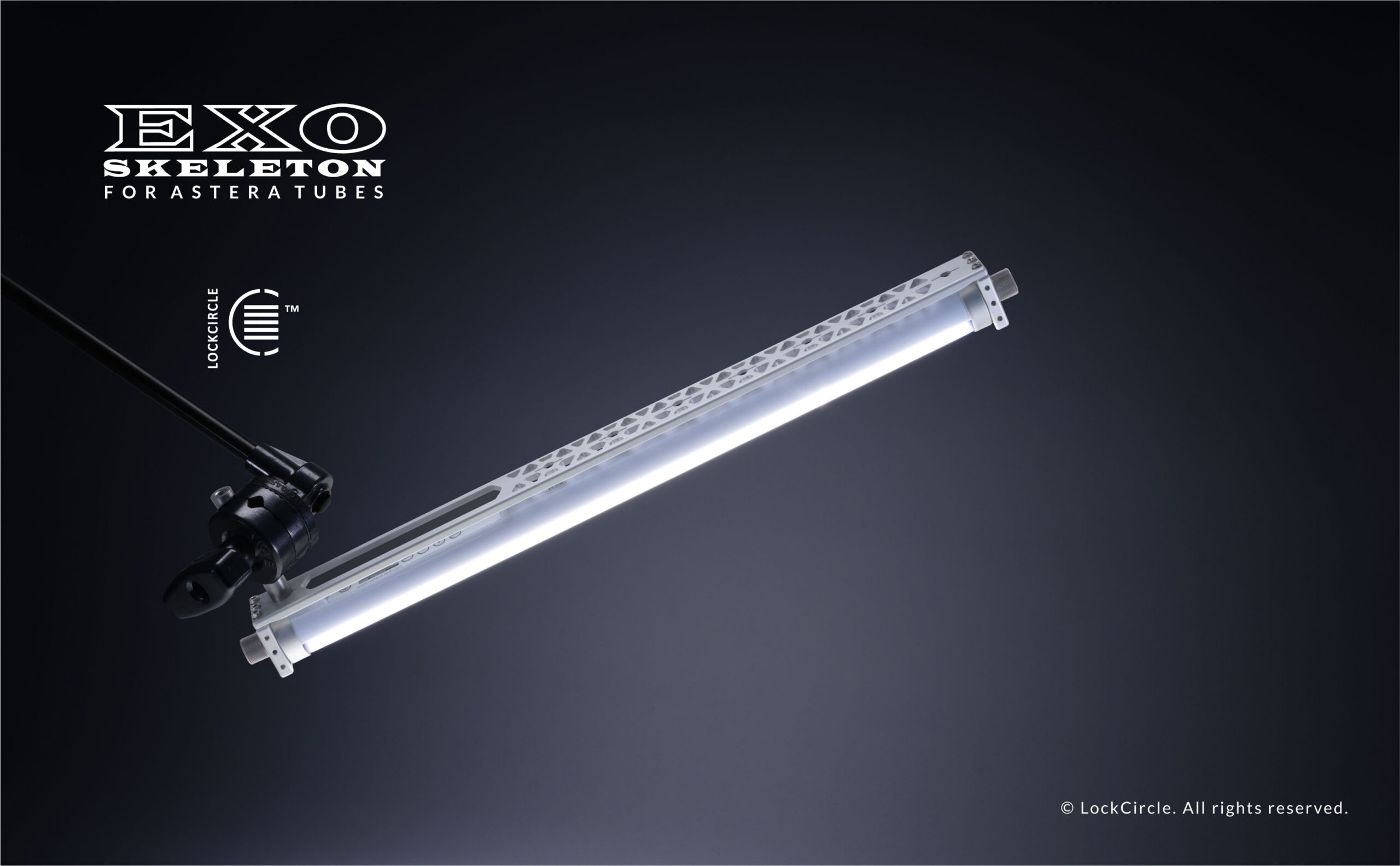 Exo dettagli categorie2